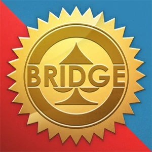 Bridge Online gameplay screenshot - similar to Puzzle Block