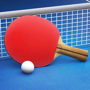 Table Tennis gameplay screenshot - similar to Mr Slice